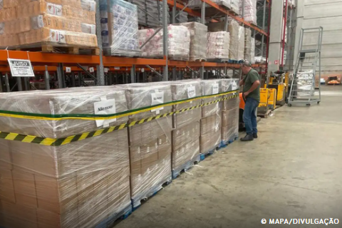 Ministério manda recolher lote de azeite impróprio para o consumo