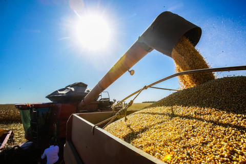 IBGE prevê safra recorde de 318,1 milhões de toneladas para 2023