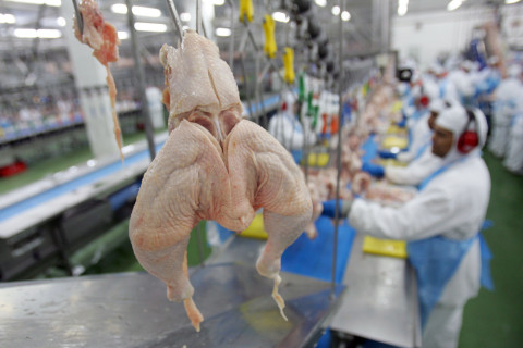 China retira proibição de importação sobre frango brasileiro após gripe aviária