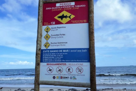 Mulher é mordida por tubarão em praia de Recife; segundo ataque em Pernambuco em apenas dois dias