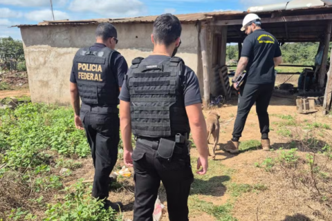 Oito trabalhadores são resgatados de trabalho escravo e 4 adolescentes de trabalho infantil em MT