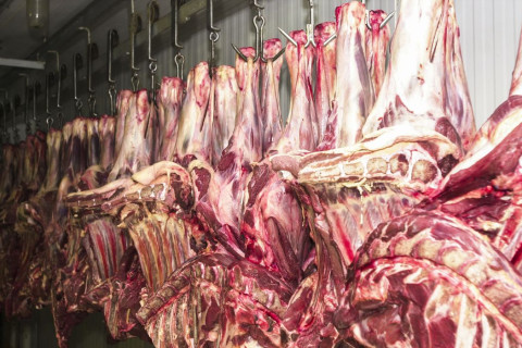 Carne bovina brasileira escapa da tarifa americana de 25% e setor respira aliviado