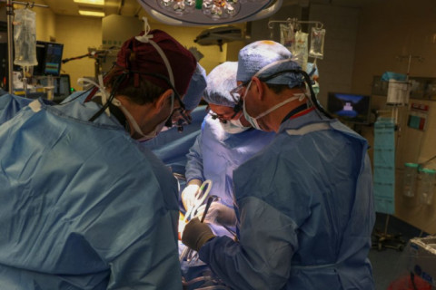 Brasil bate recorde de transplantes, mas ainda tem 78 mil pessoas na fila