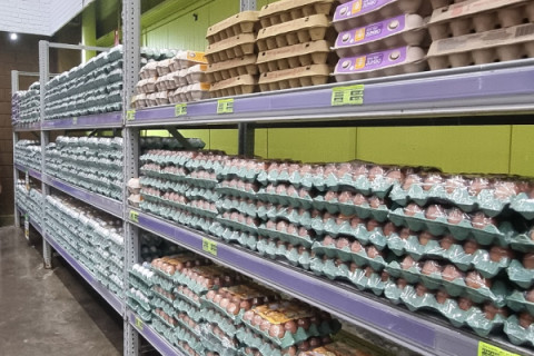 Preço da dúzia de ovos subiu 43% desde dezembro, informa Procon-SP