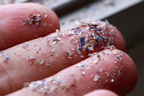 Cientistas encontram microplásticos tóxicos em todas as placentas humanas analisadas