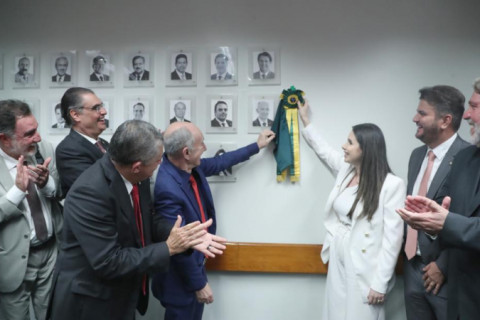 Câmara elege 19 dos 30 presidentes das comissões permanentes; veja quais são