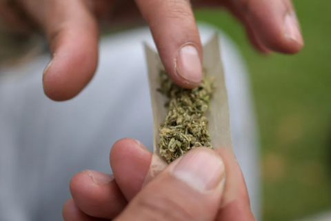 Consumo frequente de maconha pode alterar resposta do organismo ao estresse, aponta estudo