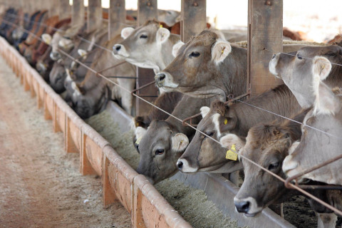 PIB do Brasil cresce 2,9% em 2023, diz IBGE