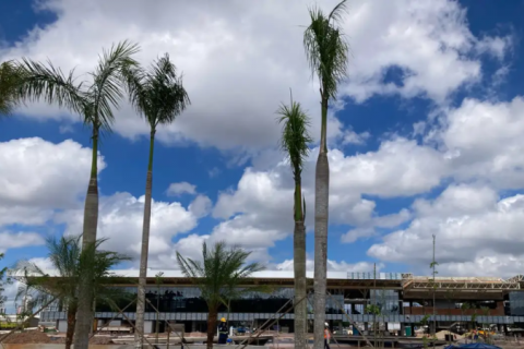 Preços abusivos cancelam participação da Áustria na COP30