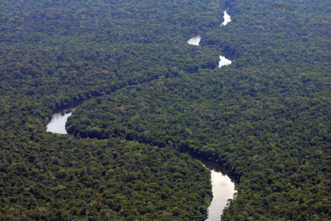 Desmatamento na Amazônia tem queda de 80% em novembro, aponta levantamento