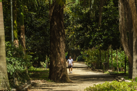 Parques em São Paulo não abrirão em dias de chuvas e ventos fortes