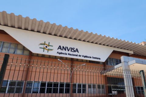 Anvisa proíbe lote de panetones e chocotones após identificar fungos