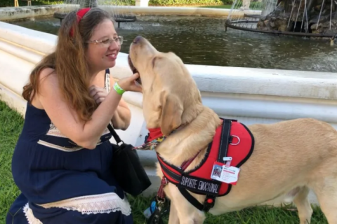 STJ decide que companhias aéreas podem se negar a embarcar animais de suporte emocional