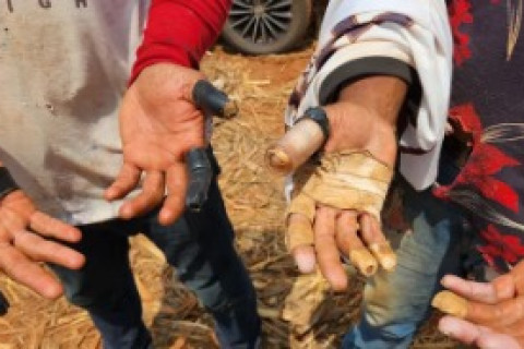 Prefeito e 5 vereadores eleitos em 2024 estão na lista suja do trabalho escravo