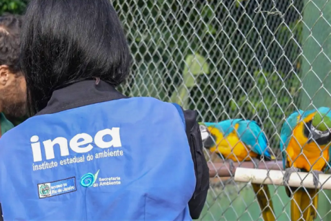 Operação resgata jabutis, macacos pregos e mais de 20 aves em sítio no Rio de Janeiro