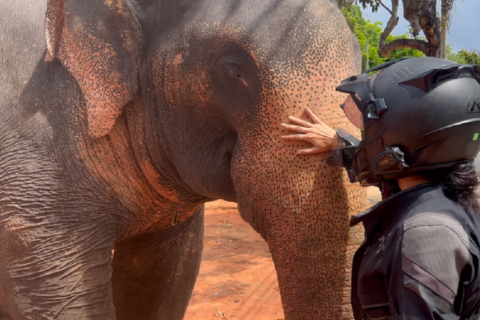Brasileira vítima de estupro coletivo e marido recebem indenização do governo indiano